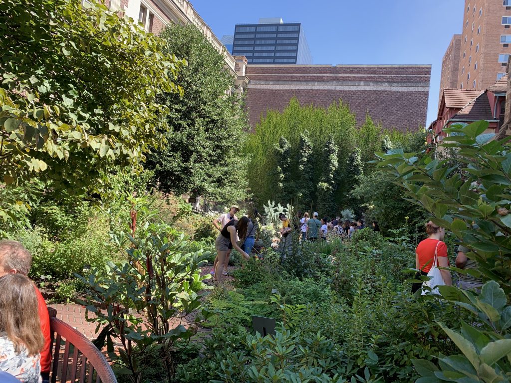 Plants and trees of various sizes. People walking through the garden.